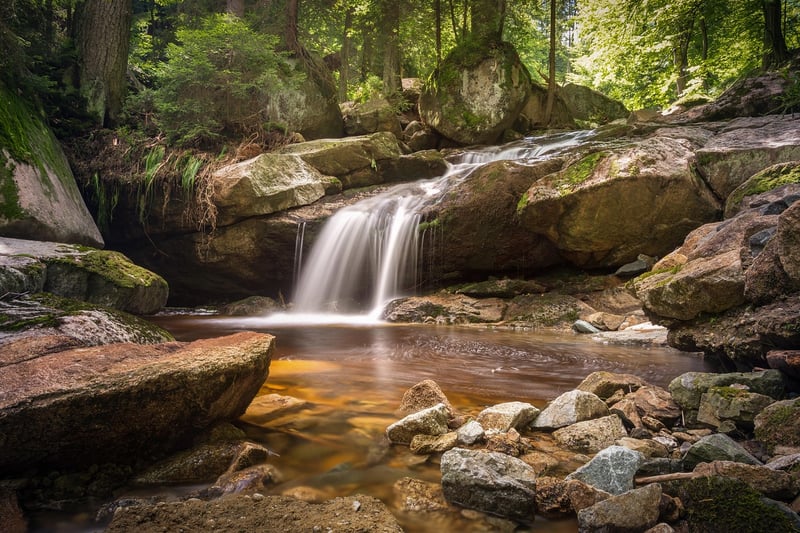 Nature Photography